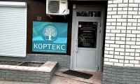 Кортекс